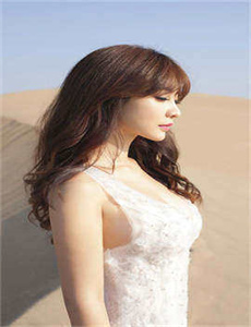 雏菊2006
